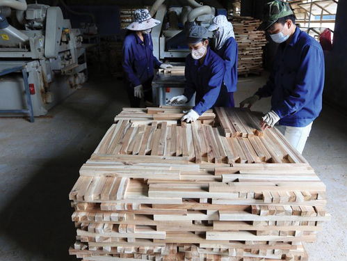 尽管受COVID 19疫情影响,越南木材及木制品仍增长16